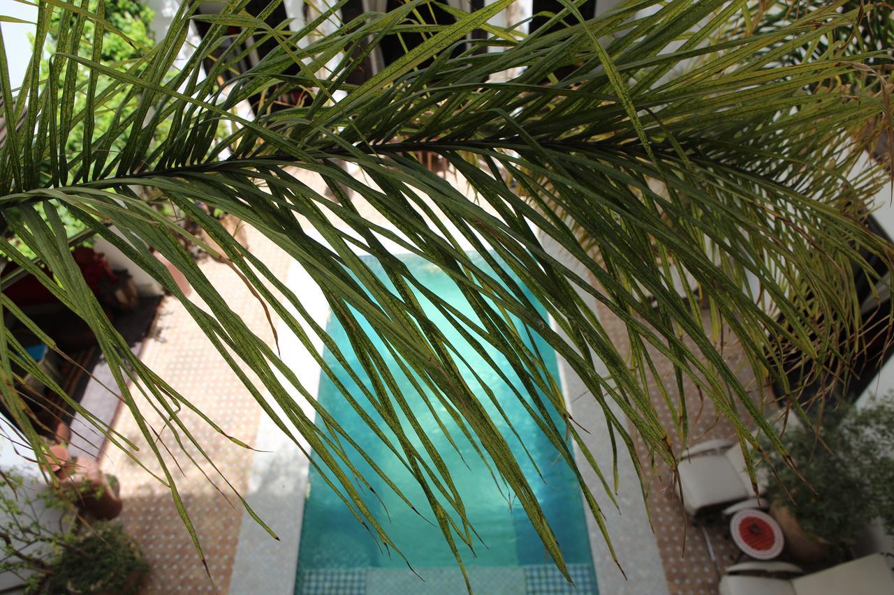 Riad Assouel มาร์ราเกช ภายนอก รูปภาพ